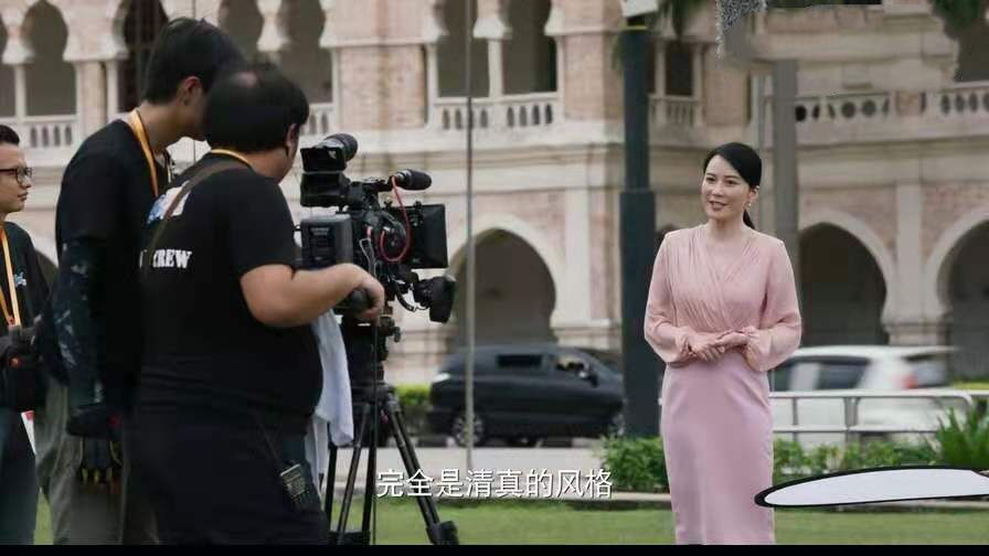 海外行动首播:连追6集够过瘾,演员阵容强大,剧情悬疑有格局