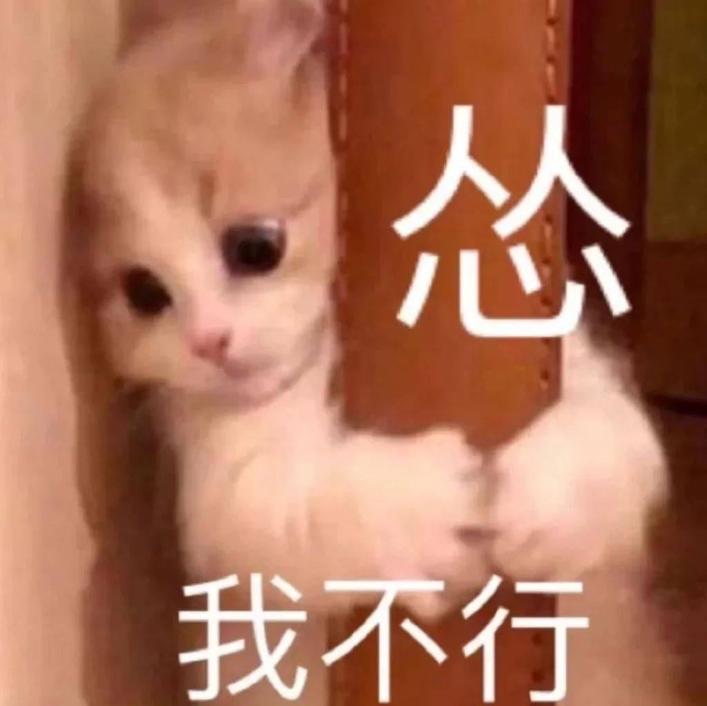 美到甘愿被她抢老公，王思聪新盯上的女友到底赢在哪？