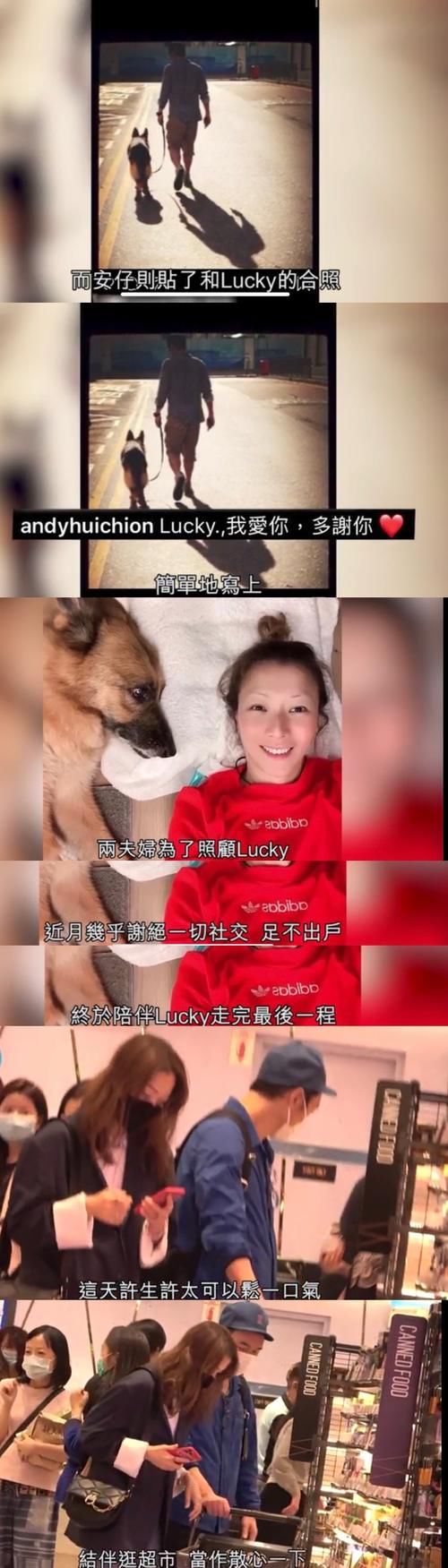 郑秀文许志安经历伤痛后更恩爱，甜蜜挽手逛超市，助男方走出爱犬离世阴霾