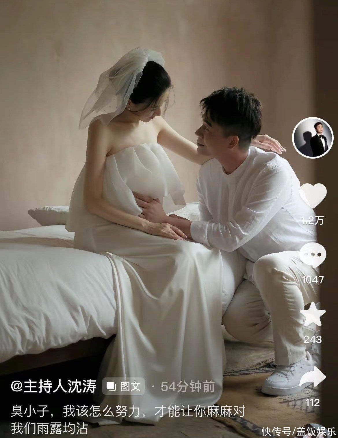 沈涛 结婚照图片